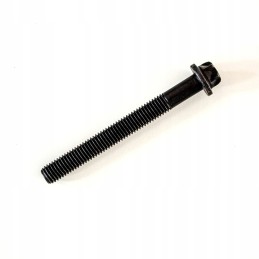 Galvos varžtas orig lombardini ldw focs