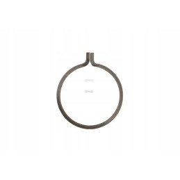 Tilto laikantis žiedas katei