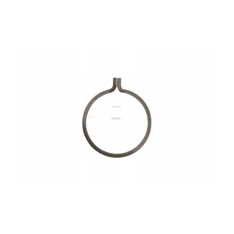 Tilto laikantis žiedas katei