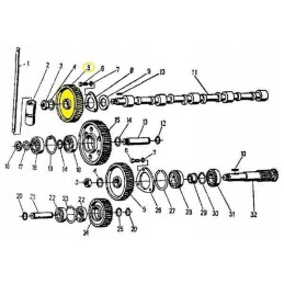 Paskirstymo veleno krumpliaratis 950424 c 360 zetor