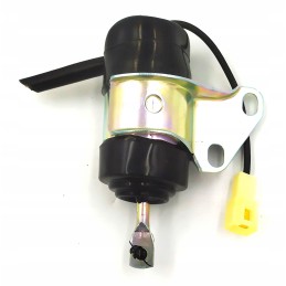 Kubota Aixam variklio gesinimo ritė