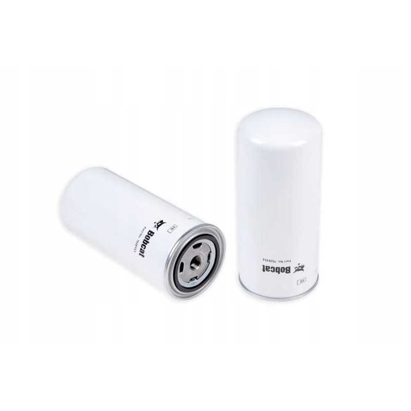 3972869m1 talpos variklio kuro filtras