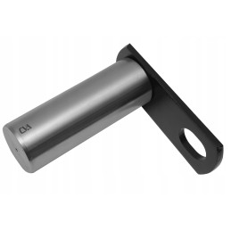 Vikšrinio ekskavatoriaus lazdos cilindro kaištis