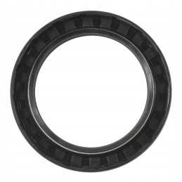 Priekinio tiltelio flanšo sandarinimas Cat CVA