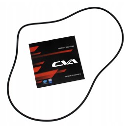 CVA sandariklis katės galinėje ašyje