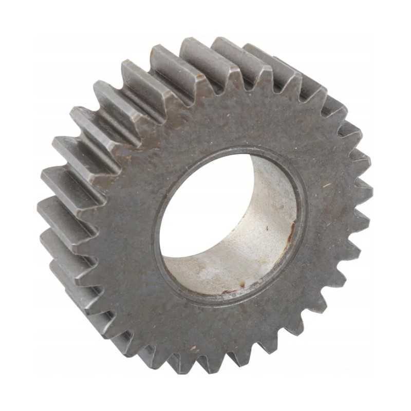 Palydovinio mazgo redukcijos dėklas ir Naujoji Olandija