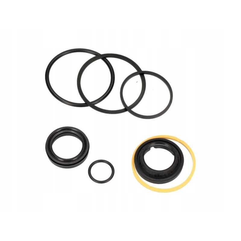 Mustang Manitou N271021 variklio komplektas