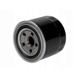 Originalus Manitou alyvos filtras 545637