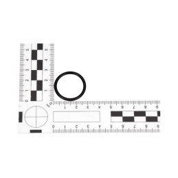 Manitou 548016 stūmoklio sandariklis