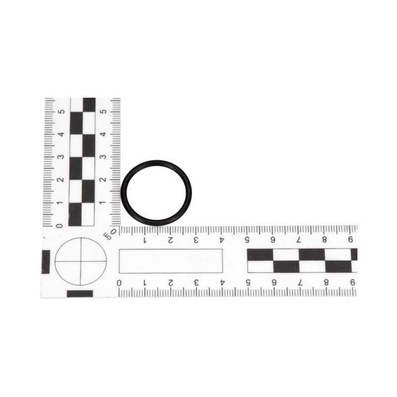 Manitou 548016 stūmoklio sandariklis