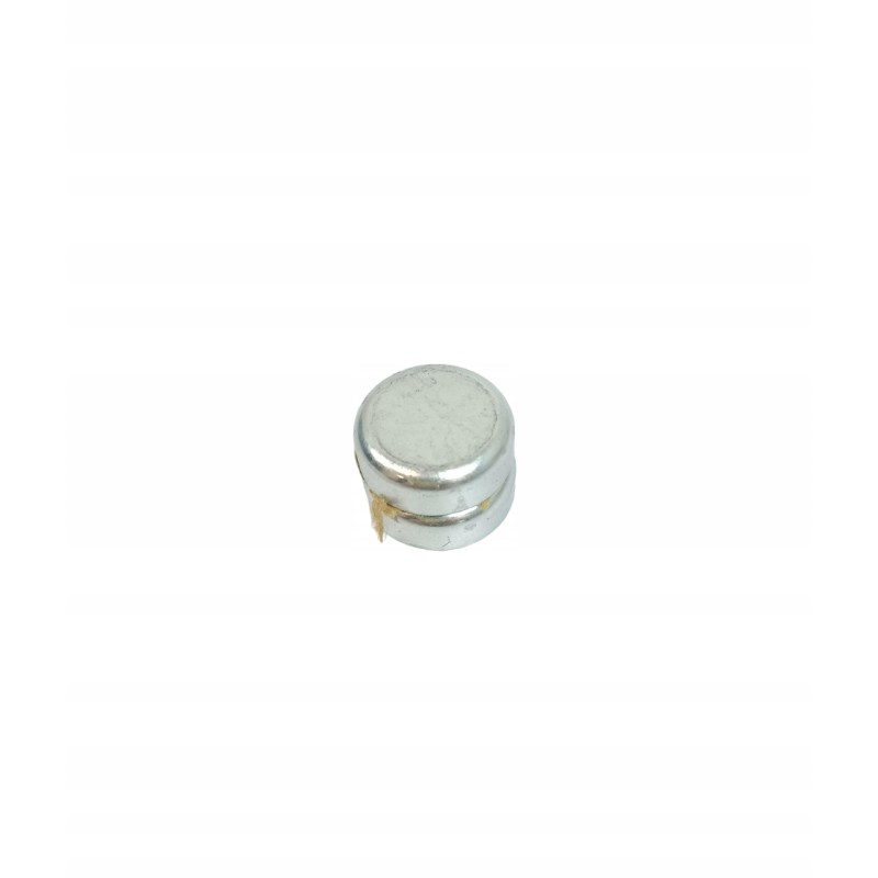 Magnetas zf 0501317040