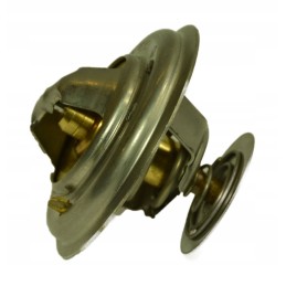 Originalus Manitou 604553 termostatas