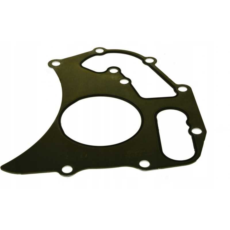 Manitou 604988 vandens siurblio tarpiklis