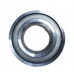 Volvo dangtis 14509280