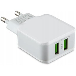 Tinklo įkroviklis su dviem USB lizdais 100 240v