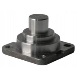 Apatinis karališkasis katė 1307026