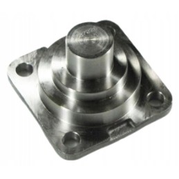 Apatinis karališkasis katė 1307026