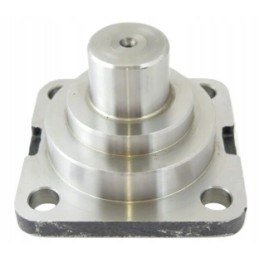 Apatinis karališkasis katė 1307026