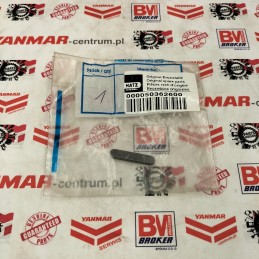 Hatz dyzelinis montavimo veržliaraktis a6x4x32x32