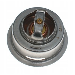 Cat 3244128 reguliatorius