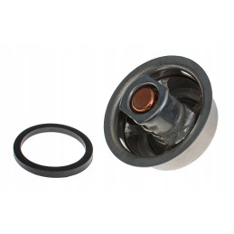 Cat 3244128 reguliatorius