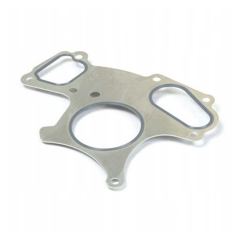 Perkins 1204f e44tta vandens siurblio tarpiklis