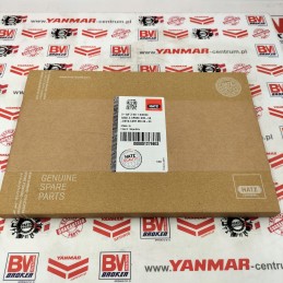 Hatz 1d41 42 50 kėbulo tarpiklių komplektas 01279803