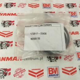 Yanmar pavaros sandariklio rinkinys