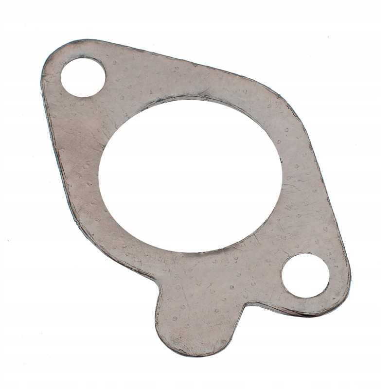 Ruonio katė 2721956