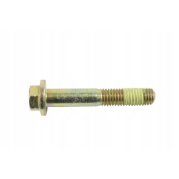 M10 varžtas kačių kasimo filtro pagrindui 1054173