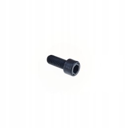 Wacker dpu bpu svorio varžtas m10x25 0069036