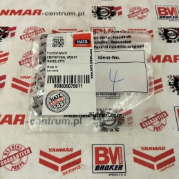 Hatz 1b20 1b30 1b40 reguliatoriaus svoriai 05079611