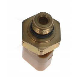 Slėgio jutiklio katė 2785273