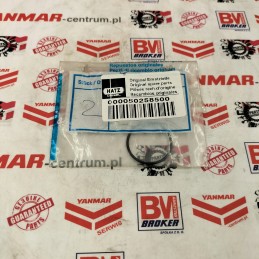 Hatz arba žiedinis švaistiklio mechanizmas 50258500