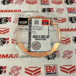 Galvos tarpiklis hatz 1d31 0 80mm 04101200