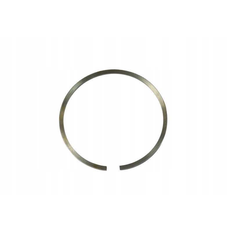 Stūmoklinio žiedo kačių ekskavatoriaus krautuvas 1077787