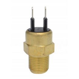 Užvedimo jutiklis ant šalto katės variklio