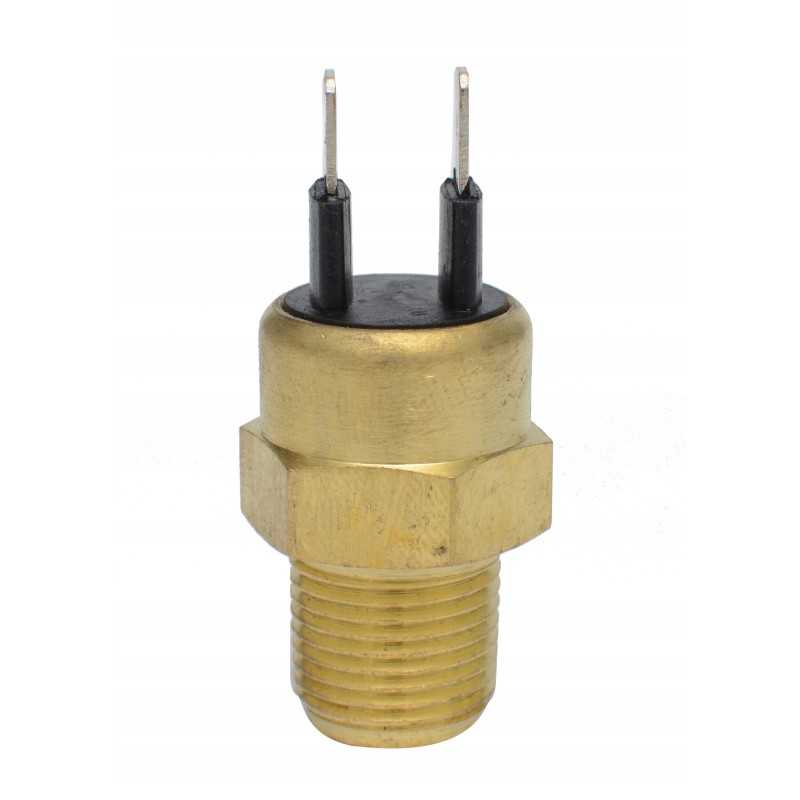 Užvedimo jutiklis ant šalto katės variklio