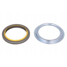 Alkūninio veleno sandariklis 81 10004 00 reinz