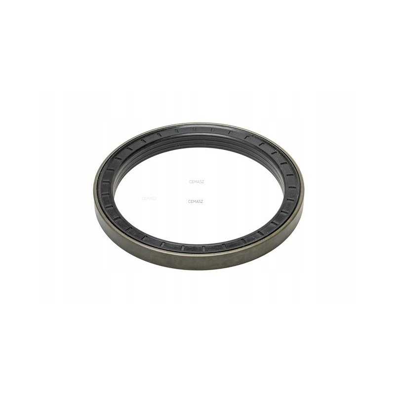 Tilto stebulės sandariklis dana spicer 1230601601