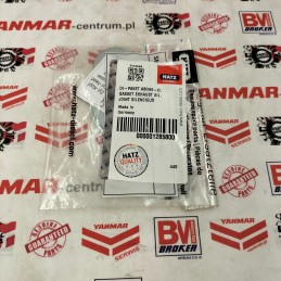 Hatz 2g30 2g40 duslintuvo tarpiklių komplektas 01285800