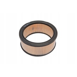 C039199 oro filtras