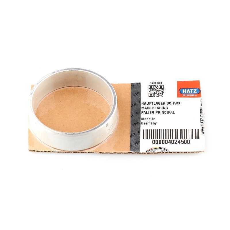 Hatz 1d41 1d50 pagrindinio veleno guolis std 04024500 k