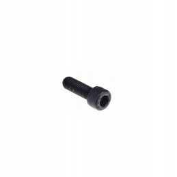 Wacker dpu bpu svorio varžtas m10x30 0220074