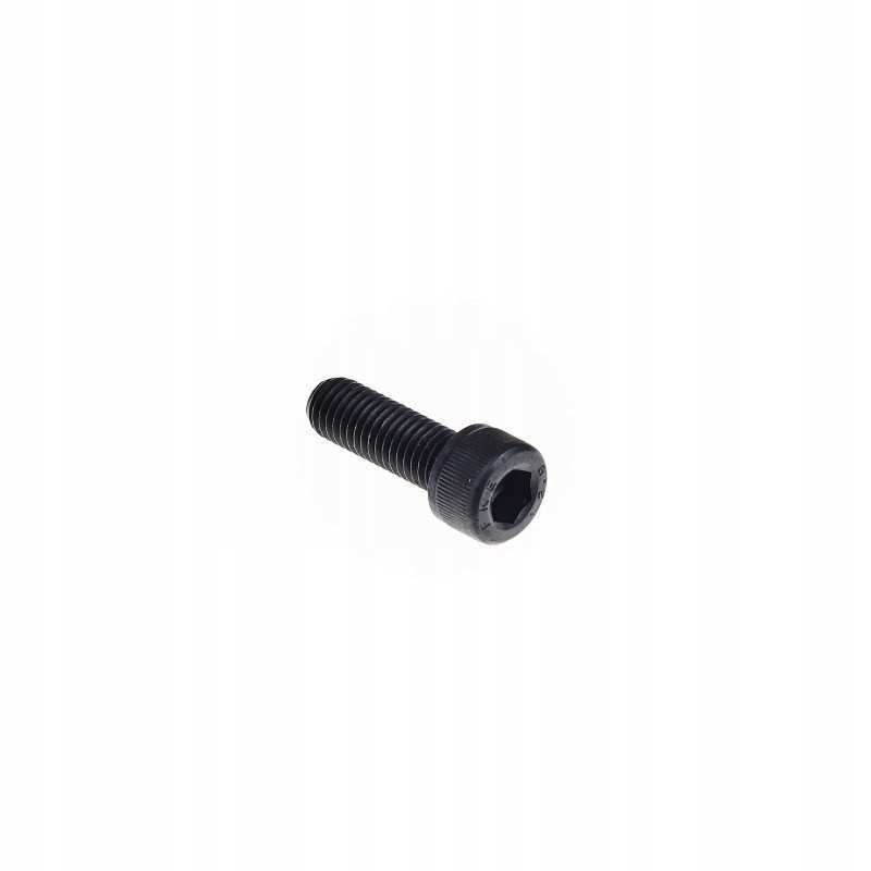 Wacker dpu bpu svorio varžtas m10x30 0220074