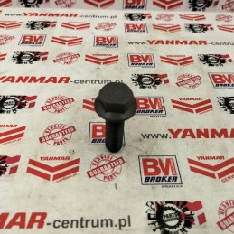 Yanmar sukamosios kolonėlės varžtas 1017370230