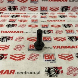 Yanmar sukamosios kolonėlės varžtas 1017370230