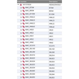 Yanmar sukamosios kolonėlės varžtas 1017370230