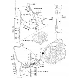 Hatz 1d81 purkštukas sukomplektuotas 50493001