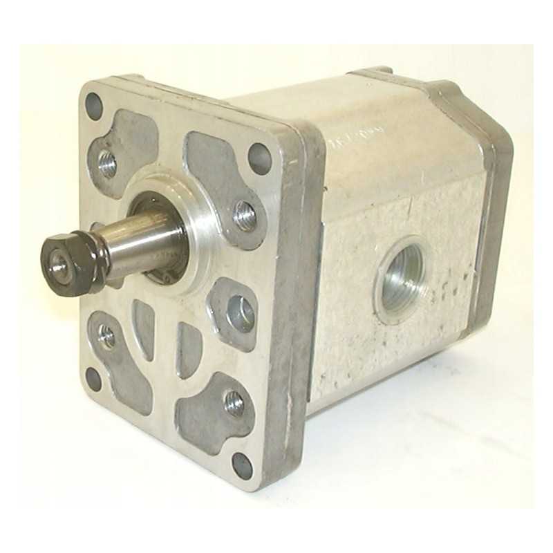 Snp2 a25l co41 f hidraulinės pavaros siurblys